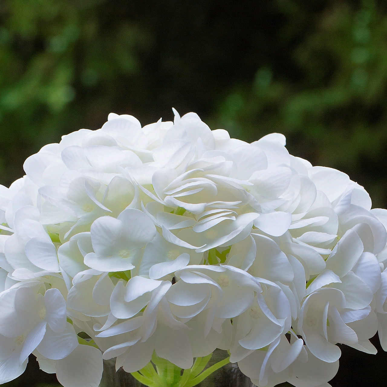 Real Touch Hydrangea Flower in Clear Glass Vase with Acrylic Water