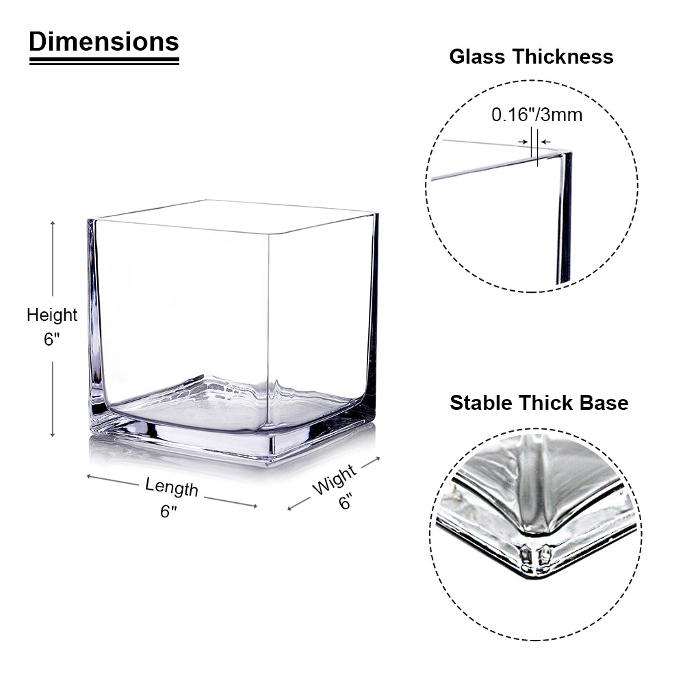 6.0" Clear Cube Glass Vase