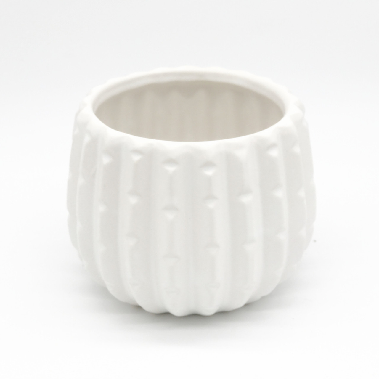 5.00" W 4.00" H White Ceramic Cactus Pot