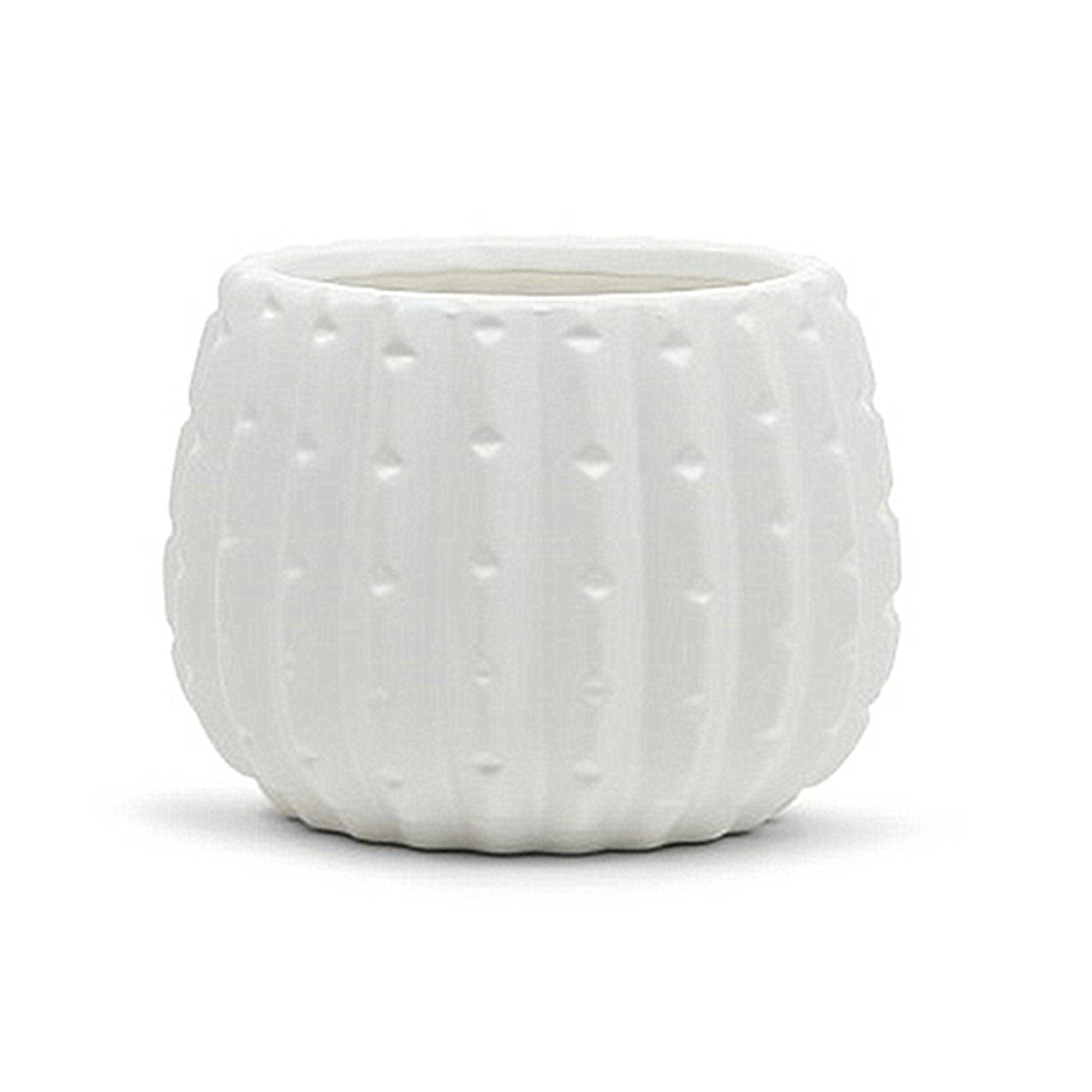 5.00" W 4.00" H White Ceramic Cactus Pot