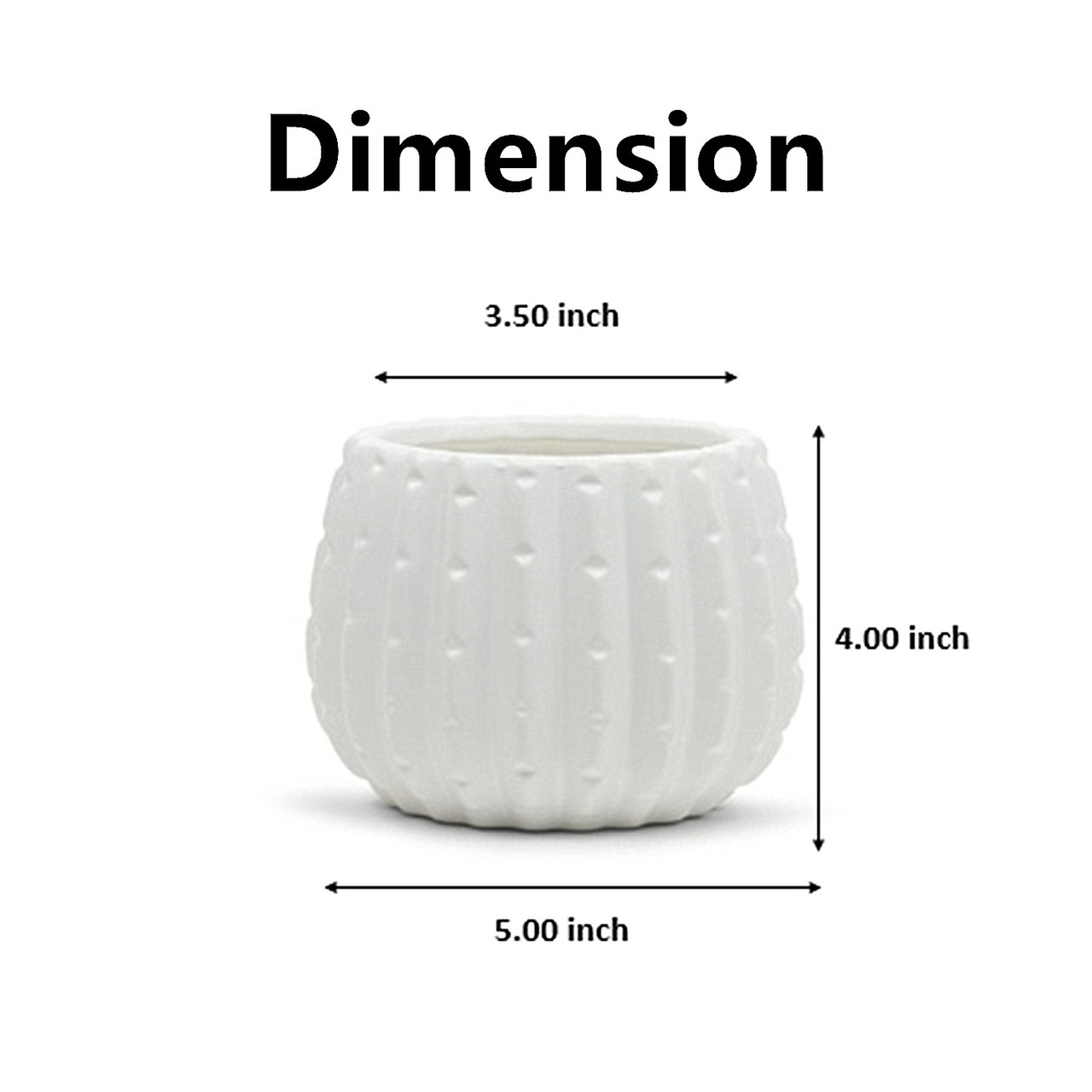 5.00" W 4.00" H White Ceramic Cactus Pot