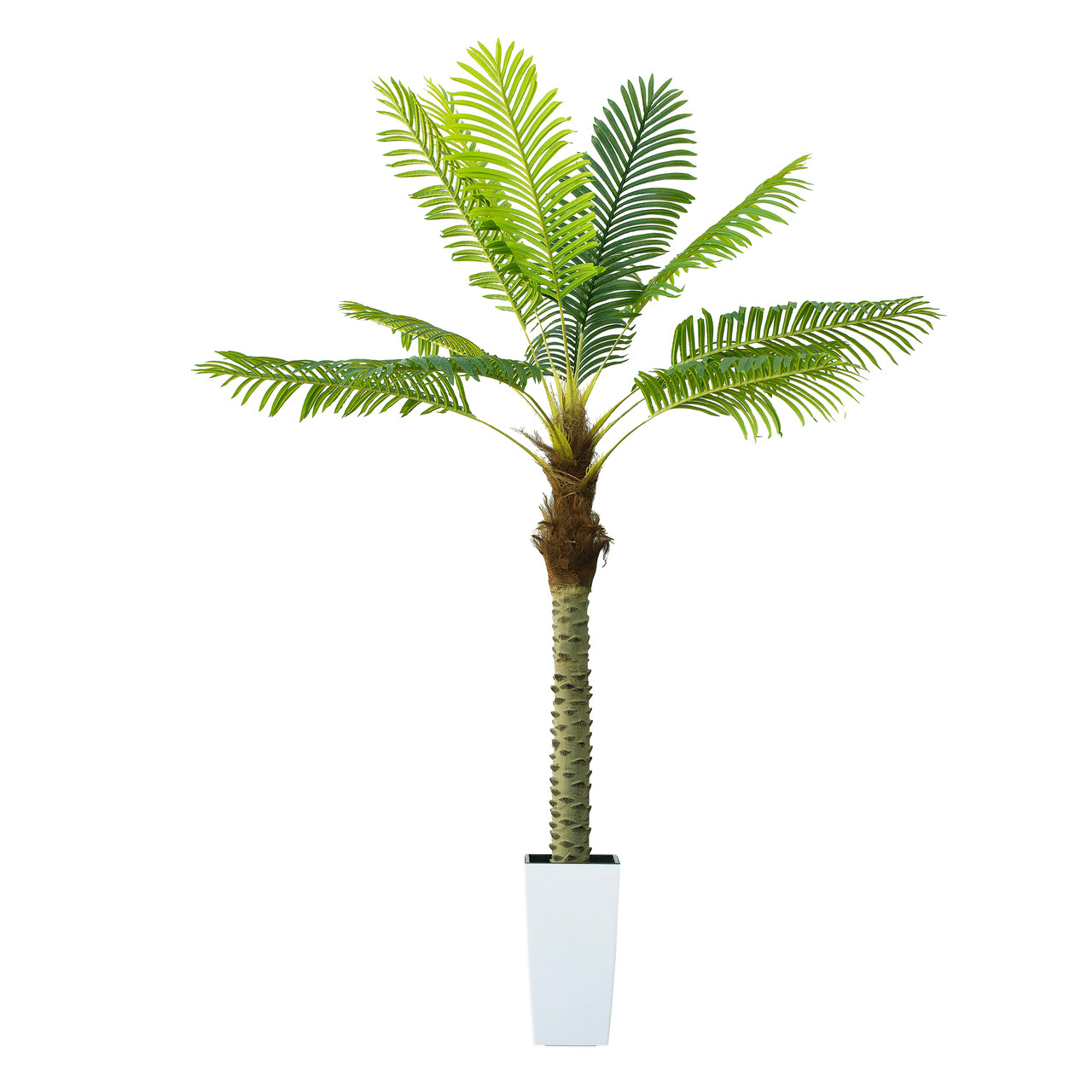 6 ft Artificial Palm Tree with Pot