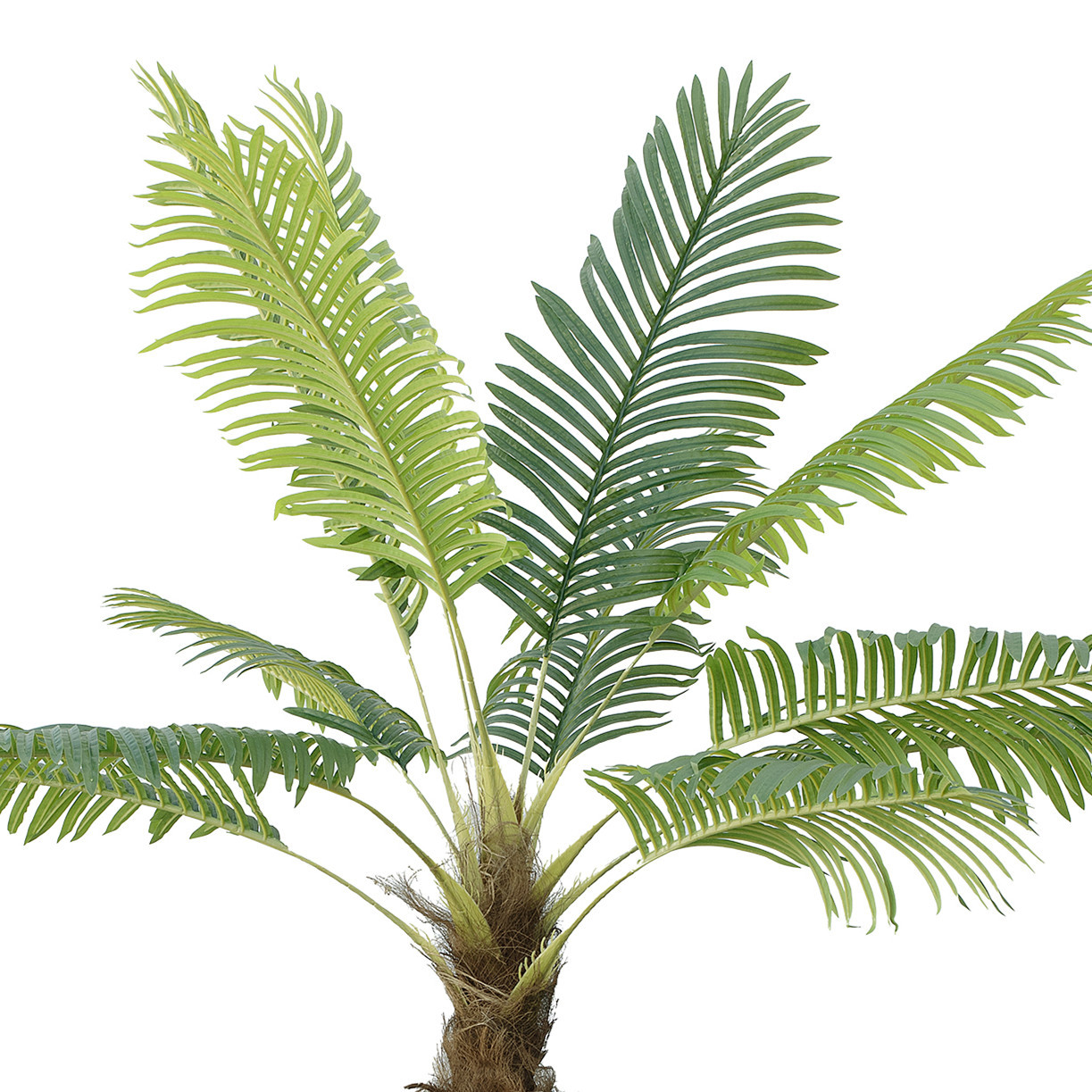 6 ft Artificial Palm Tree with Pot
