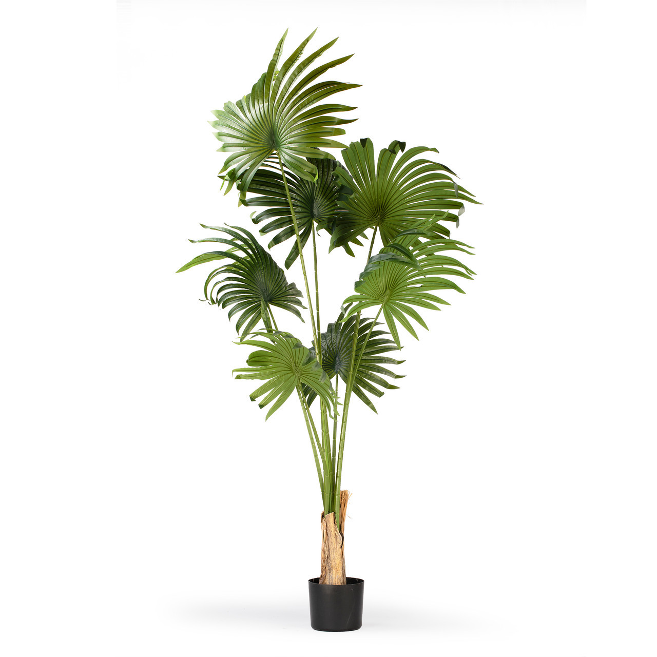 Artificial California Palm Tree in Nursery Pot (New)