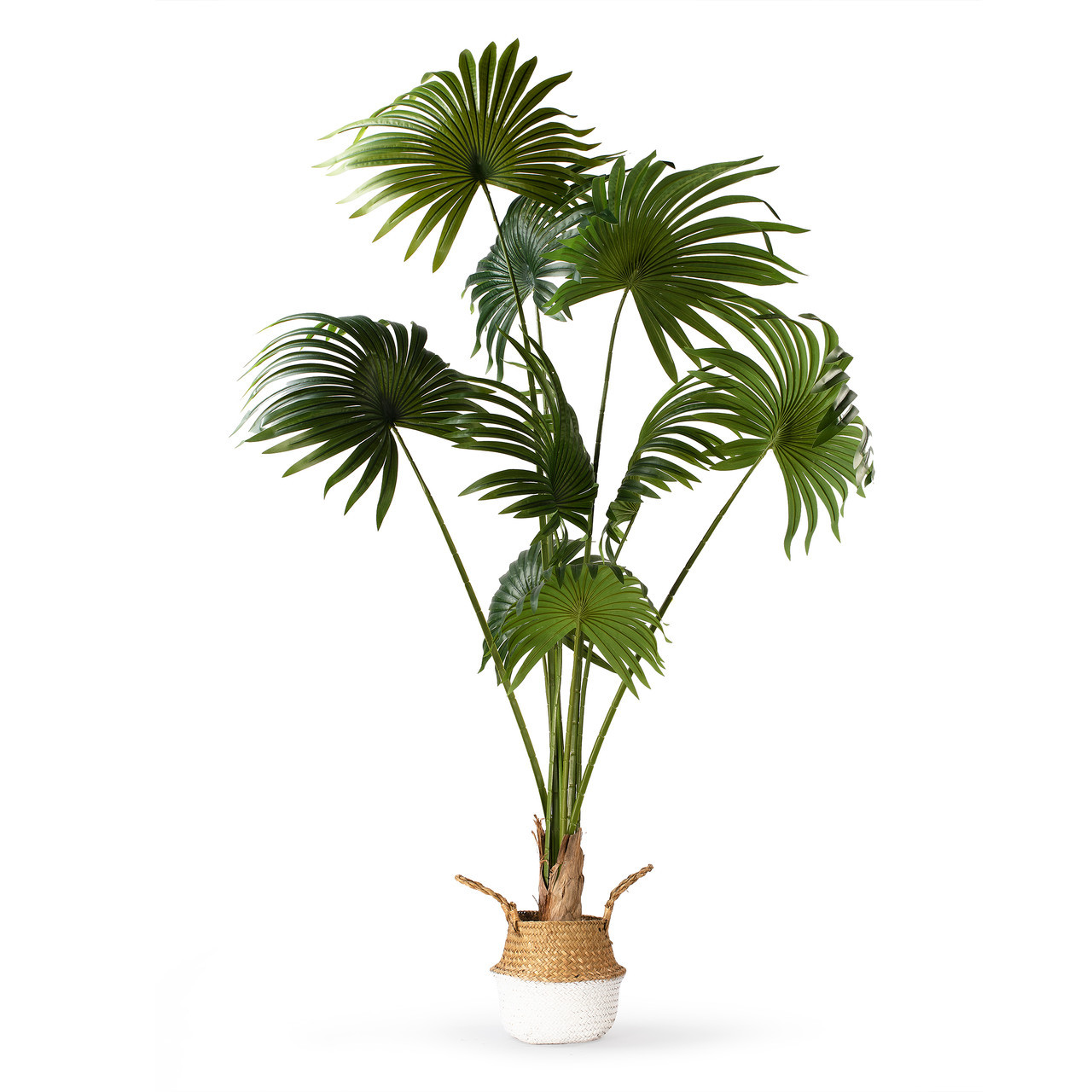 Artificial California Palm Tree in Nursery Pot (New)