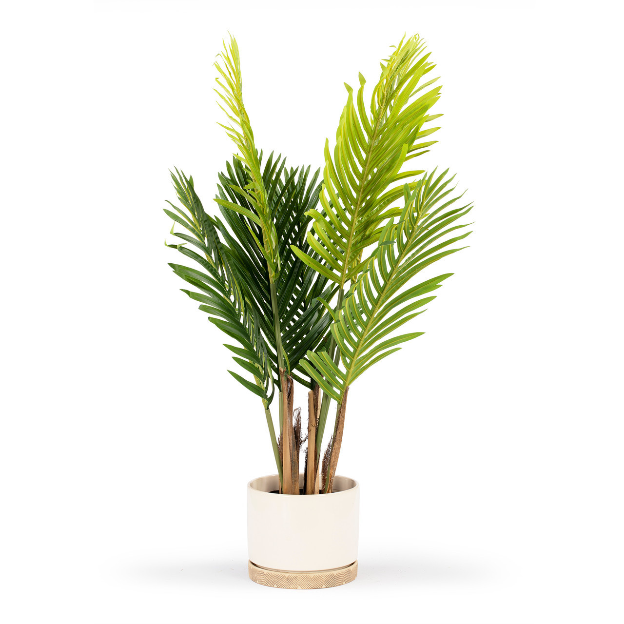 Artificial Palm Tree in Pot (New)