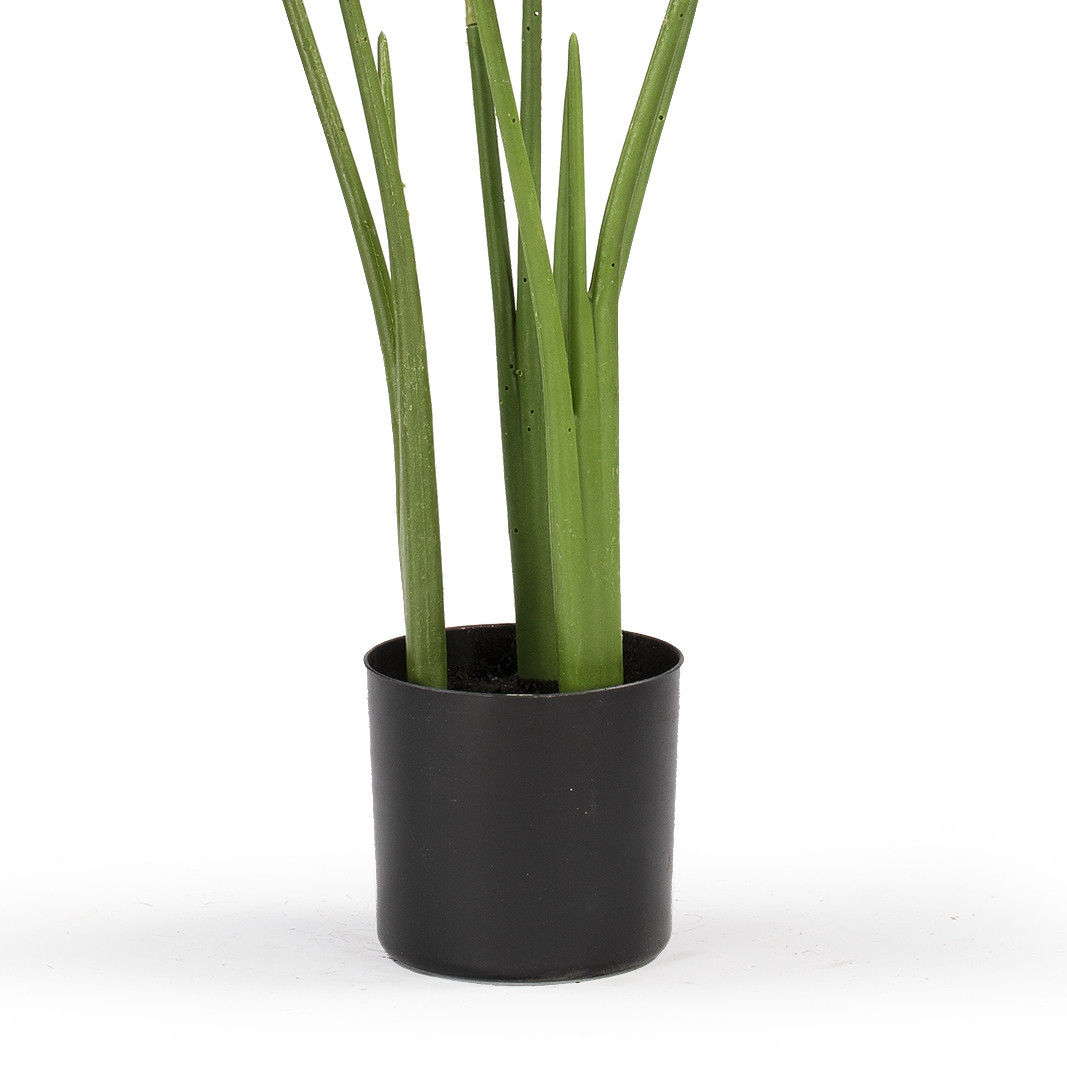 Artificial Bird of Paradise Tree in Nursery Pot (New)