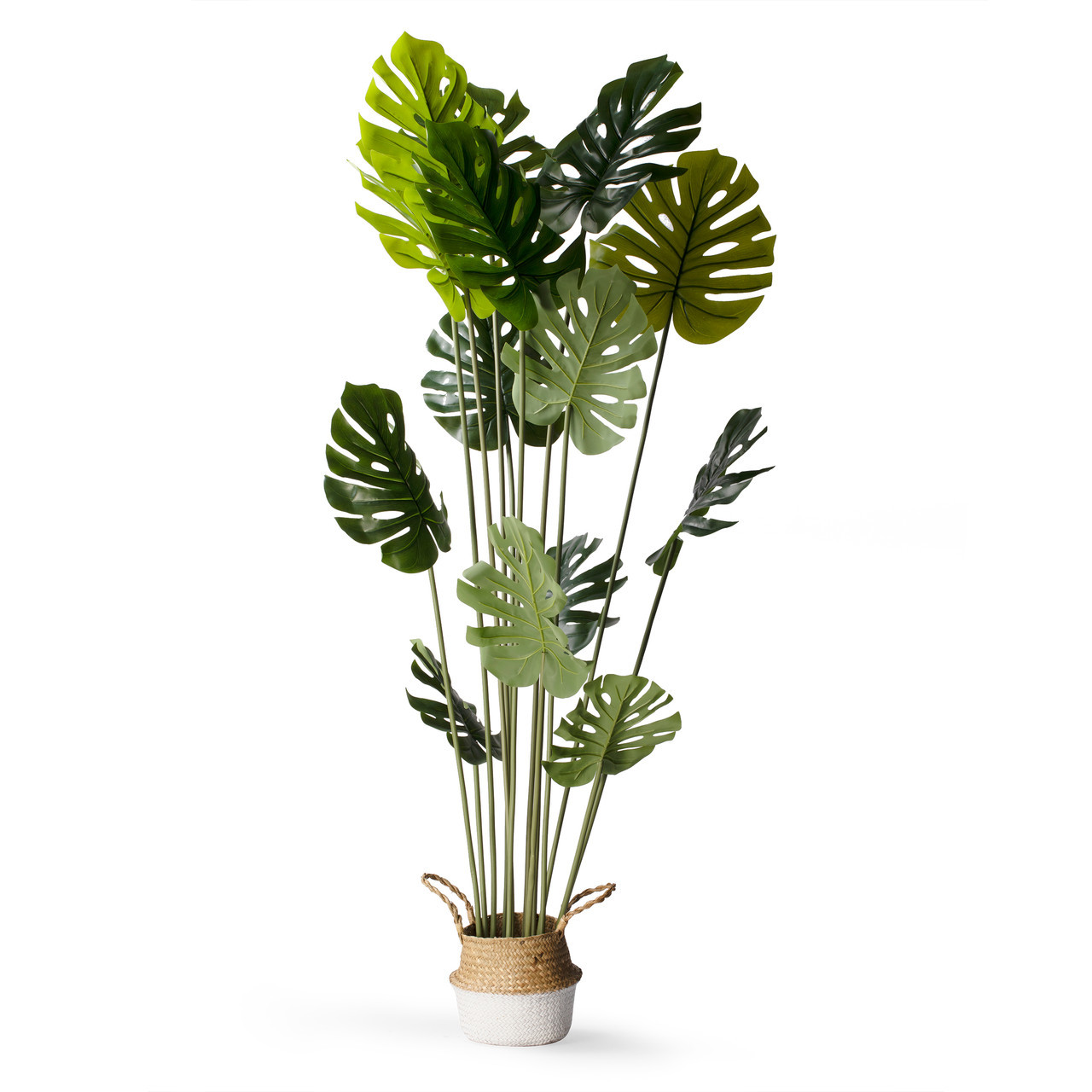 Artificial Monstera Tree in Nursery Pot (New)