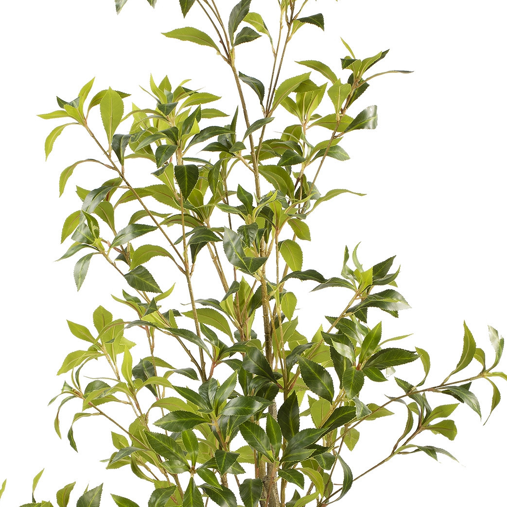 Artificial Pieris Tree in Nursery Pot (New)