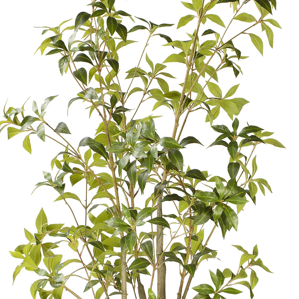 Artificial Pieris Tree in Nursery Pot (New)