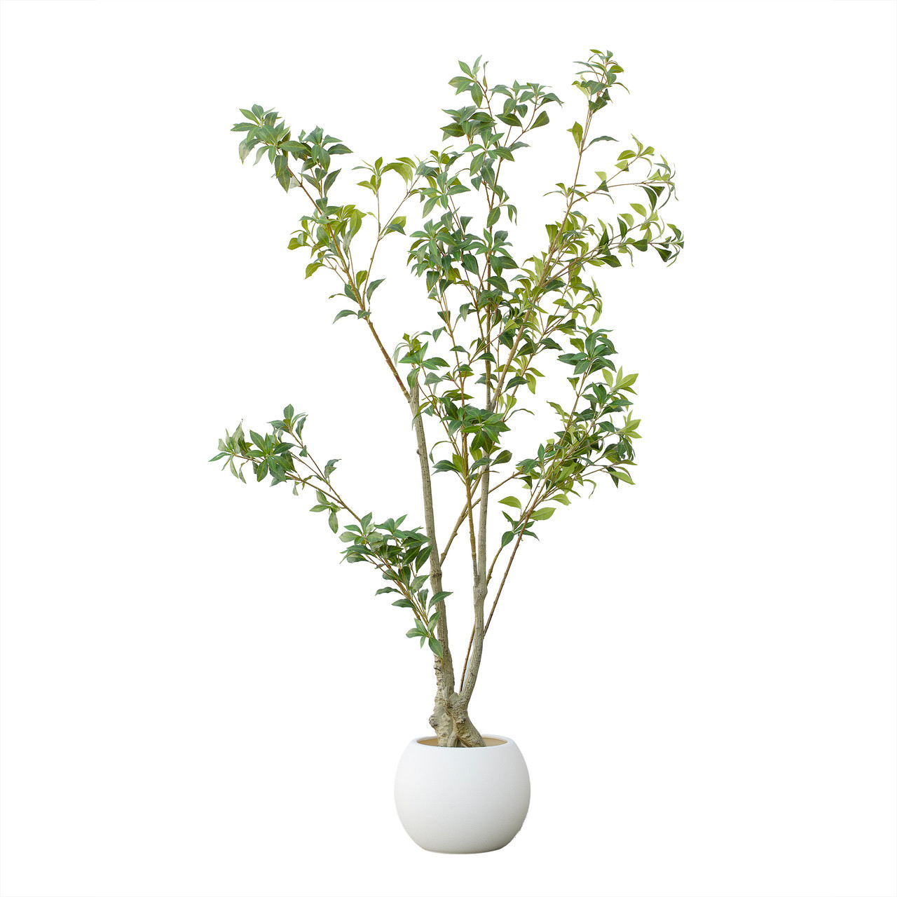 Artificial Pieris Tree in Nursery Pot (New)