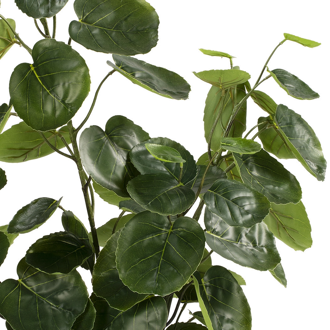 Artificial Fiddle Money Bag Tree (New)