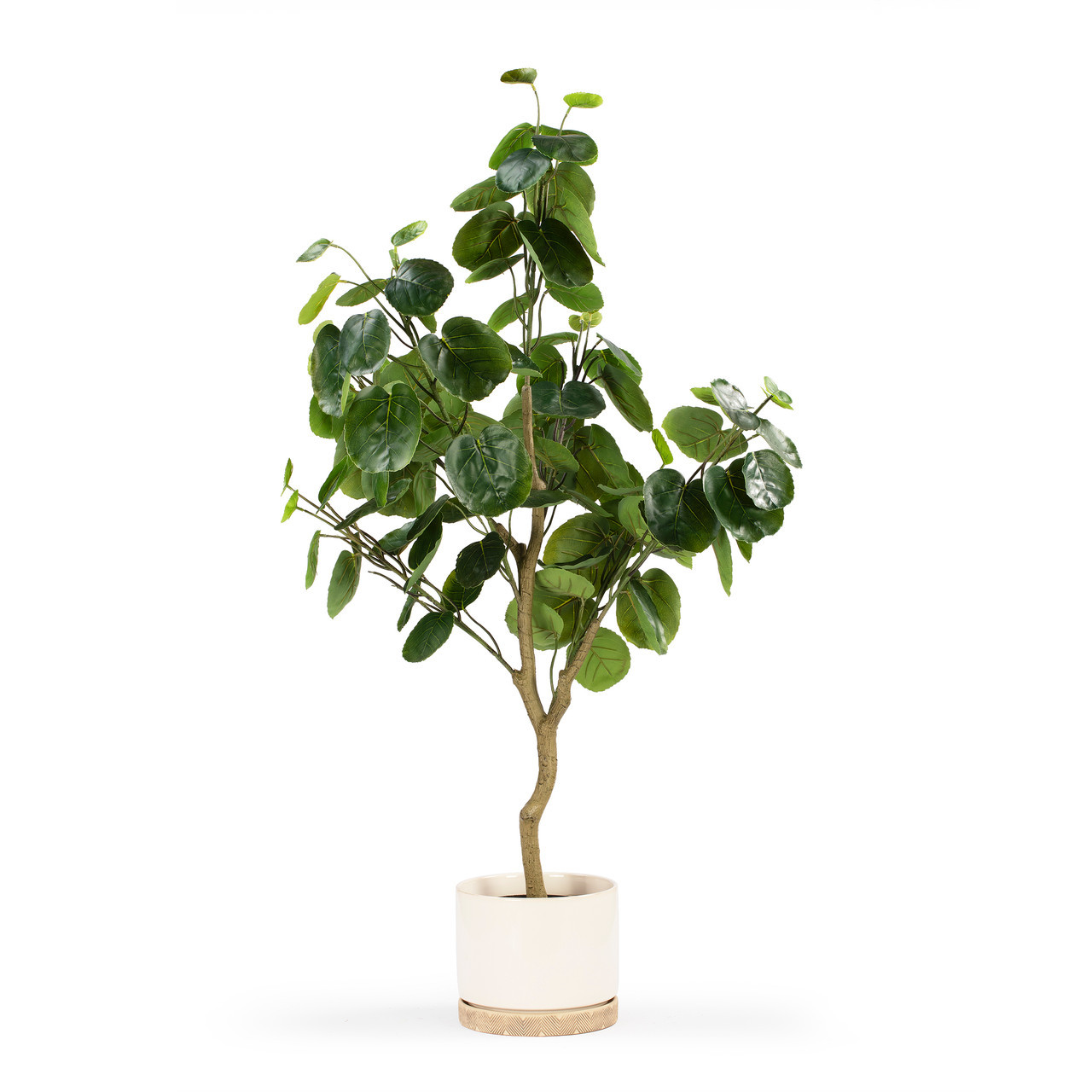Artificial Fiddle Money Bag Tree (New)