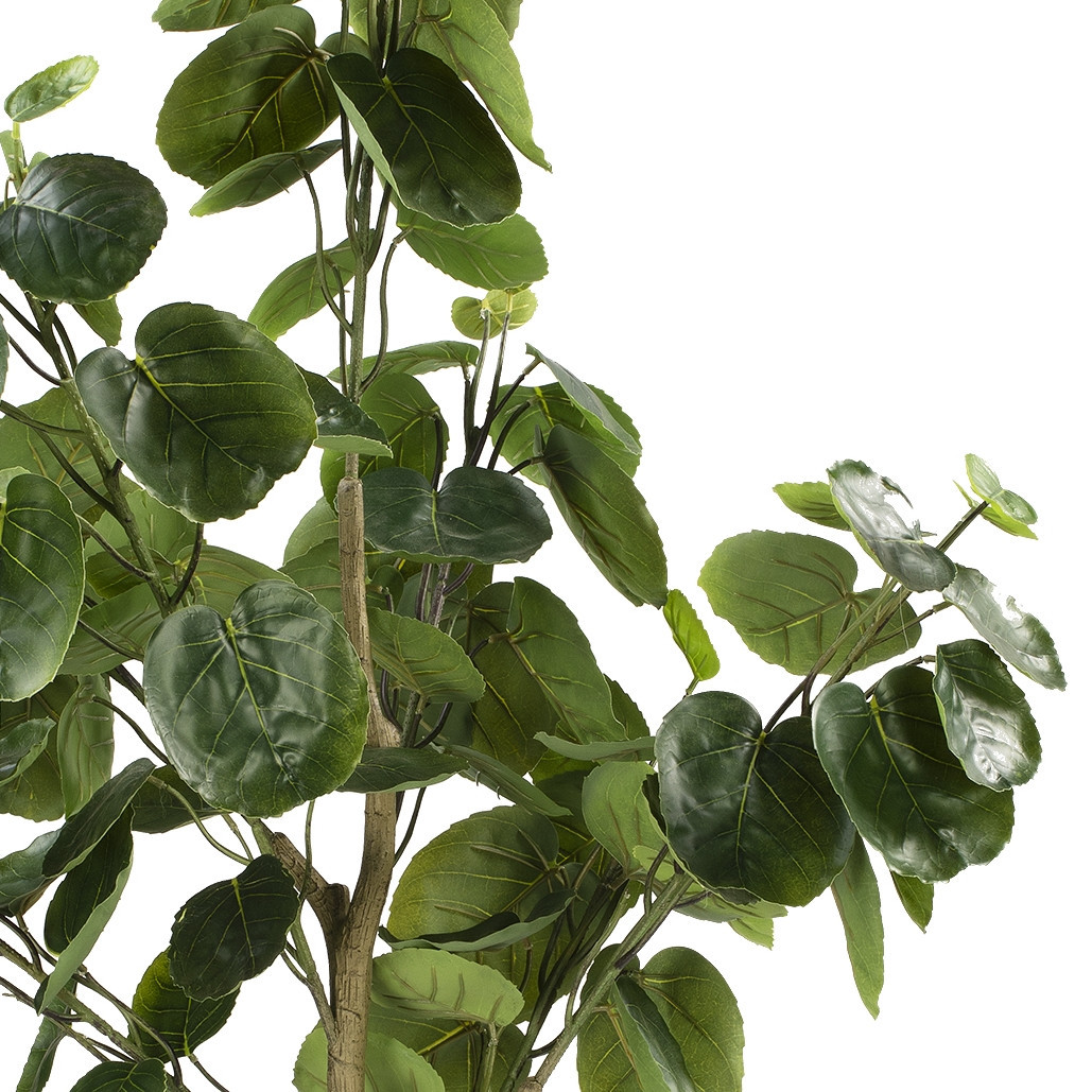 Artificial Fiddle Money Bag Tree (New)