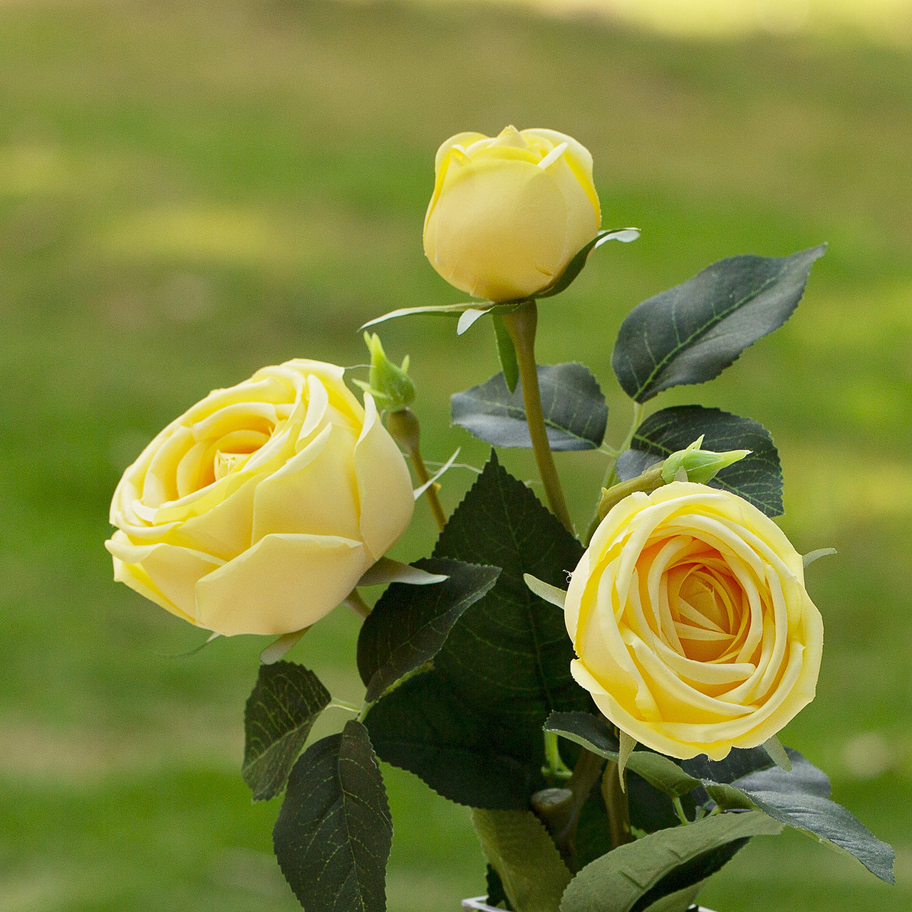 Artificial Silk Rose Flower in Clear Glass Vase (New) — Available in 6 Colors
