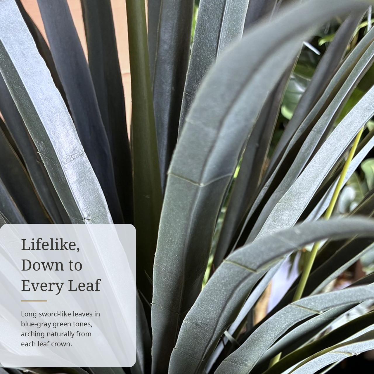 5ft Faux Yucca Plant with Blue-Green Sword Leaves & Textured Ringed Trunks in Black Planter