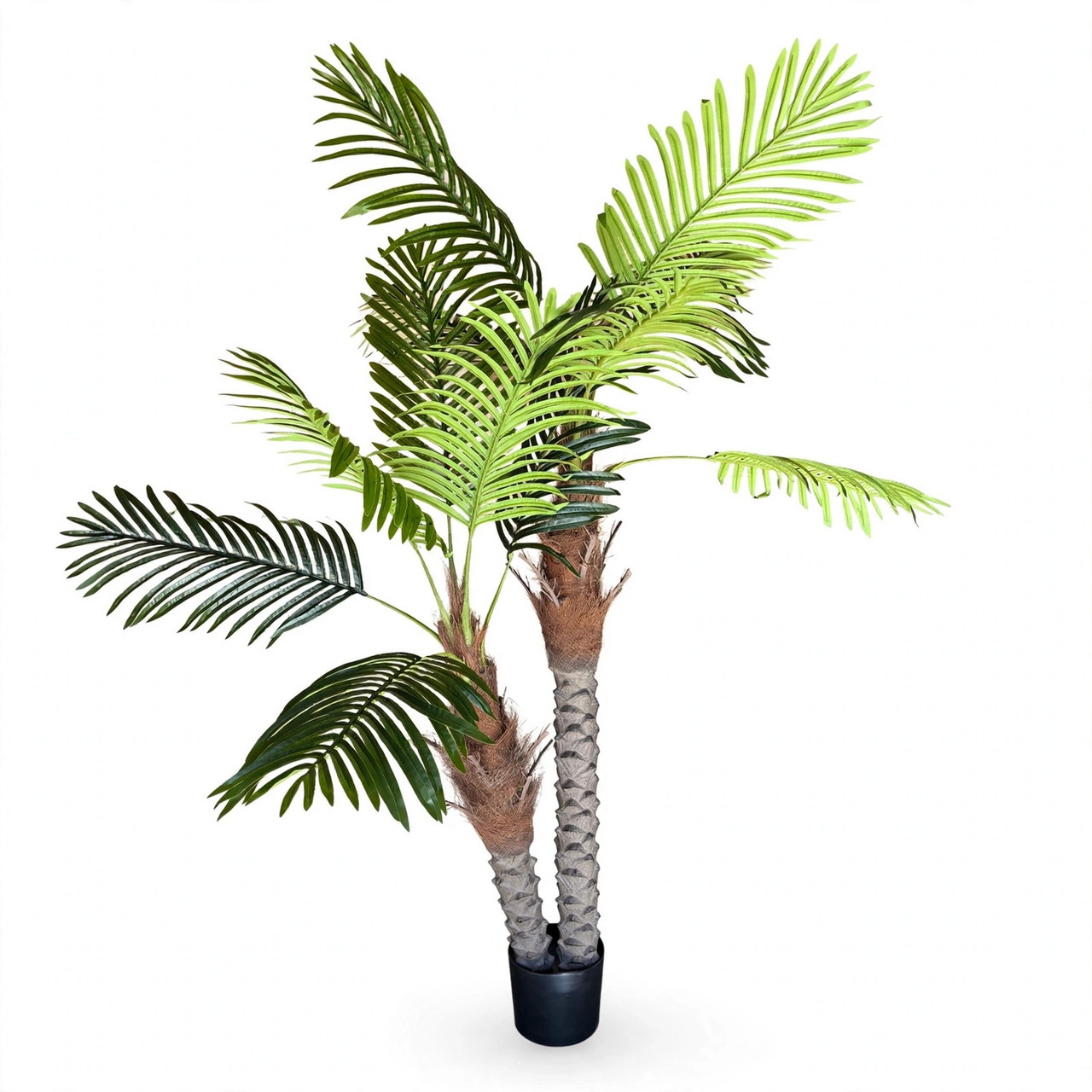 6 FT Faux Phoenix Palm with Lush Feather Fronds & Diamond-Cut Twin Trunks in Black Planter