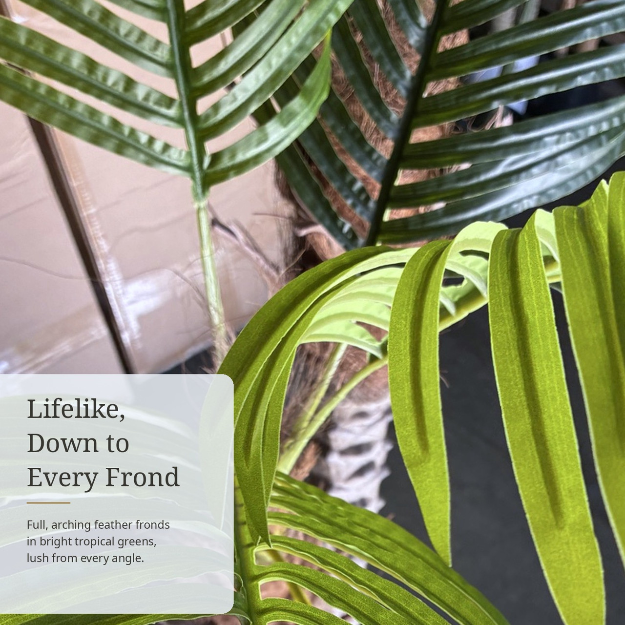 6 FT Faux Phoenix Palm with Lush Feather Fronds & Diamond-Cut Twin Trunks in Black Planter
