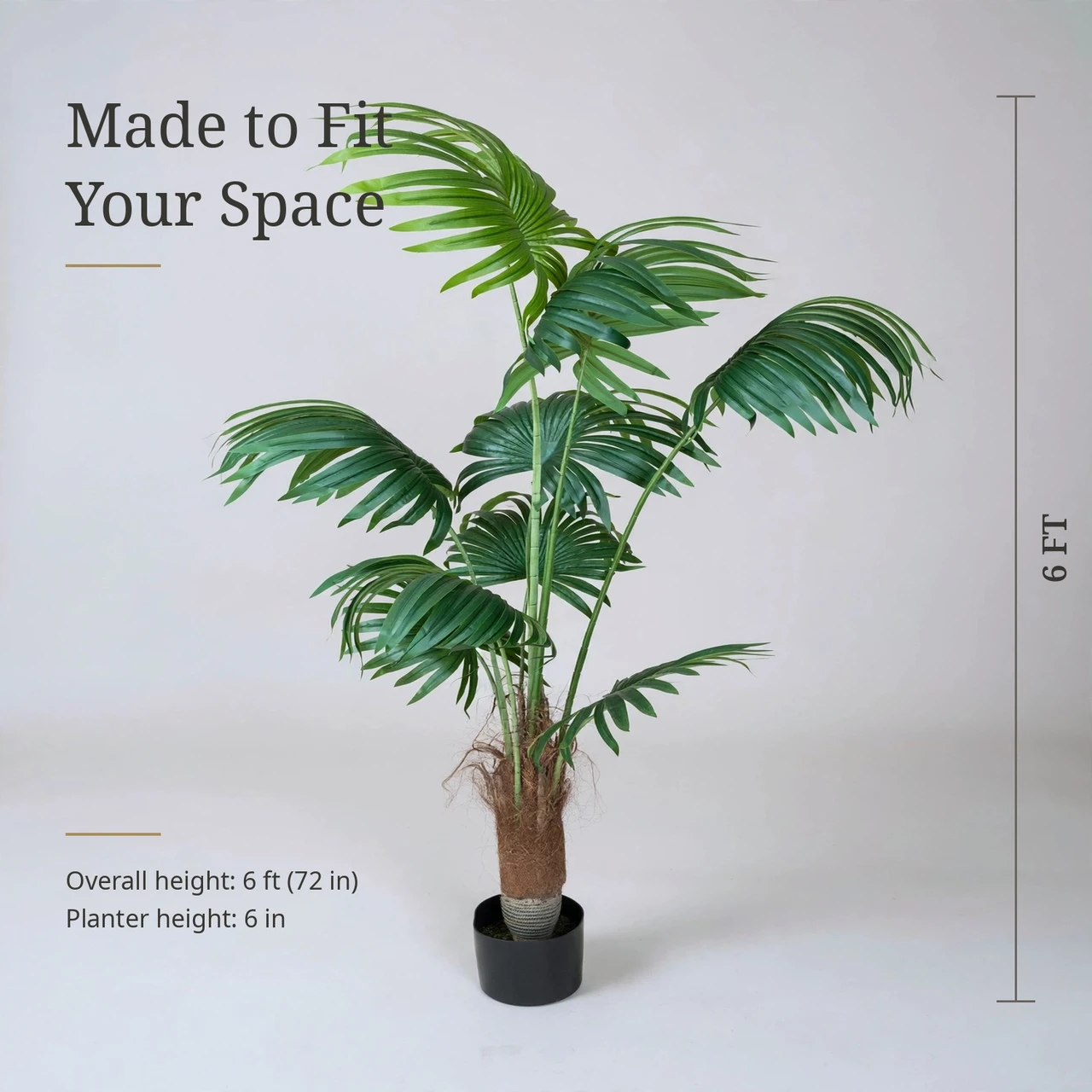 6 FT Faux Fan Palm Tree with Large Round Fan Leaves & Green Segmented Stems in Black Planter