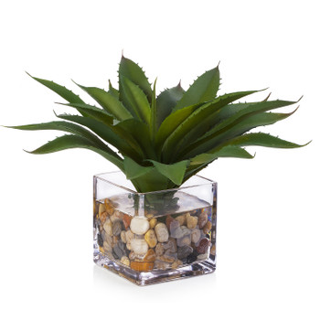 Artificial Succulent Plant In Cube Glass Vase