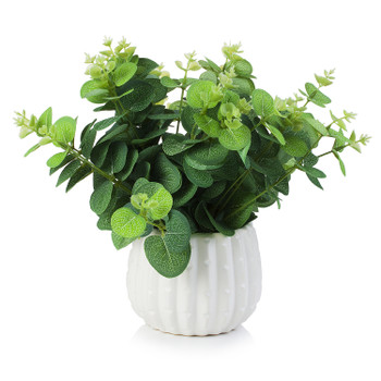 Artificial Eucalyptus Plant In White Ceramic Pot
