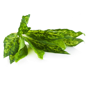 Faux Green Leaves Bush Set of 2