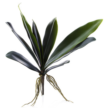 Faux Orchid Leaves Artificial Phalaenopsis Leaf 2pcs