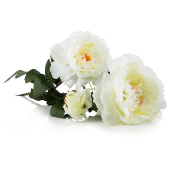 28" Peony Flower Stem (Cream)