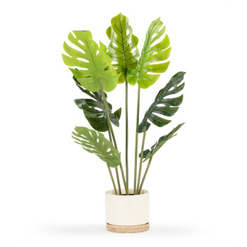 Artificial Monstera Tree in Nursery Pot (New)