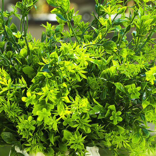 14 inches Artificial Mixed Greenery Foliage Plant in White Ceramic Pot