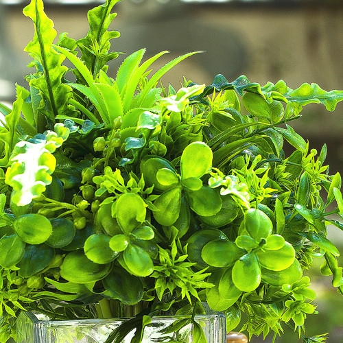 Artificial Mixed Greenery Foliage Plant in Cube Glass Vase
