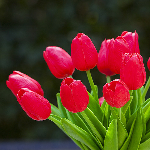 20 Pieces Artificial Real Touch Tulips Flower Arrangement in Cube Glass Vase With Faux Water(Red)