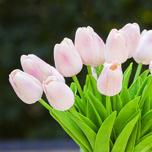 20 Pieces Artificial Real Touch Tulips Flower Arrangement in Cube Glass Vase With Faux Water(Pink)