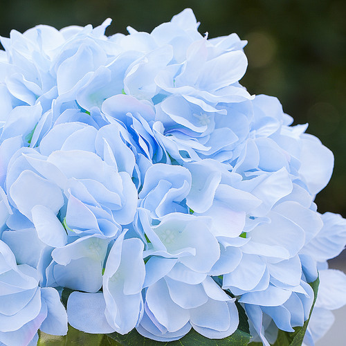 Artificial Silk Hydrangea Flower Arrangement in Cube Glass Vase With Faux Water(Azure)