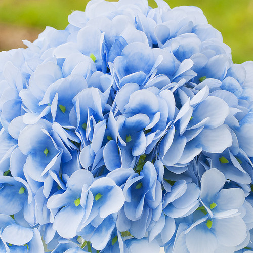 Silk Hydrangea Flower Arrangement in Cube Glass Vase With Faux Water(Blue)