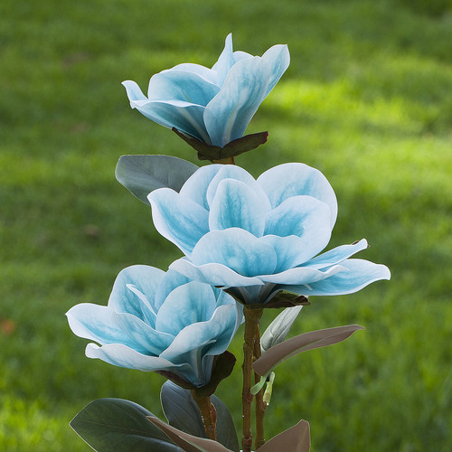Artificial Real Touch Magnolia Flower Arrangement in Glass Vase With Faux Water and River Rock(Blue)
