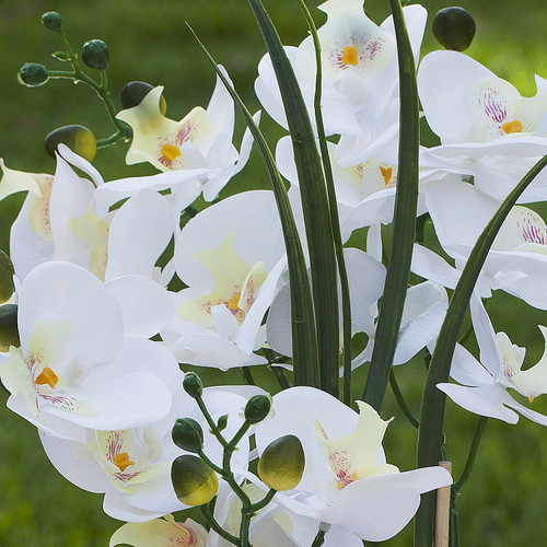 Artificial Real Touch Orchids Flower Arrangement in White Ceramic Pot