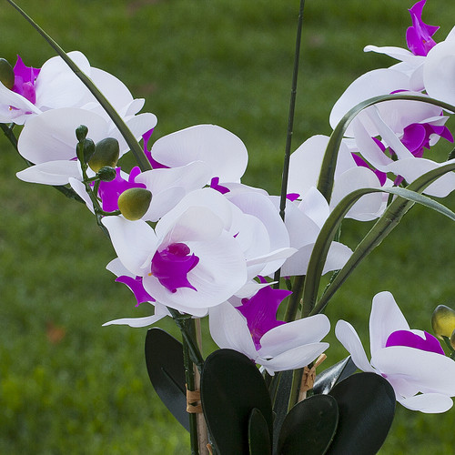 Artificial Real Touch Orchid Flower Arrangement in White Ceramic Pot