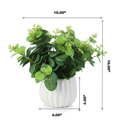 Artificial Eucalyptus Plant In White Ceramic Pot