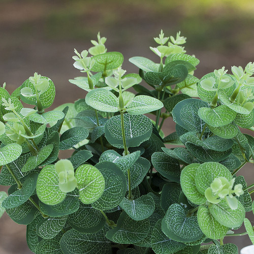 Artificial Eucalyptus Plant In White Ceramic Pot
