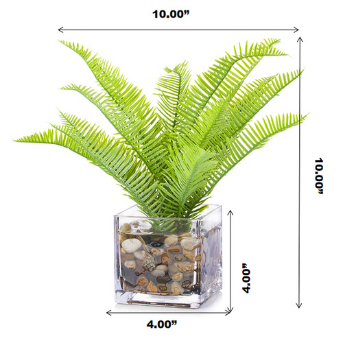 Artificial Fern Plant In Cube Glass Vase