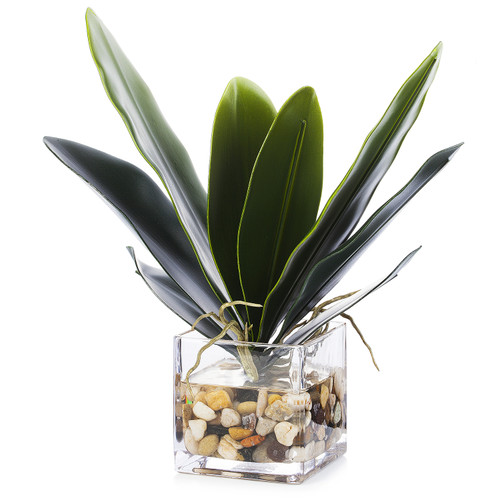 Faux Orchid Leaves In Cube Glass Vase