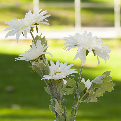 Artificial Daisy Flower Arrangement in Glass Vase(White)