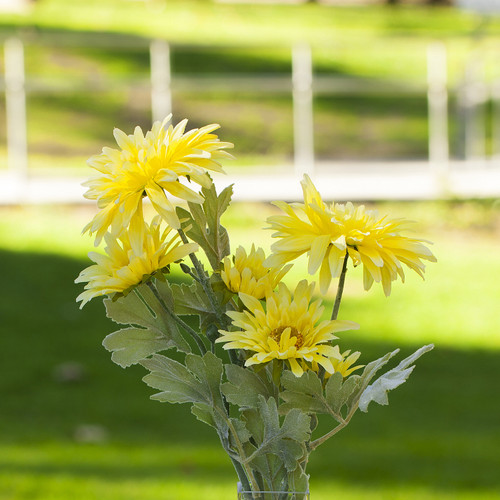 Artificial Daisy Flower Arrangement in Glass Vase(Yellow)