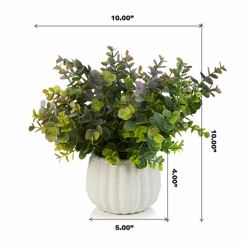 10 inch Artificial Eucalyptus Grass in Ceramic Pot
