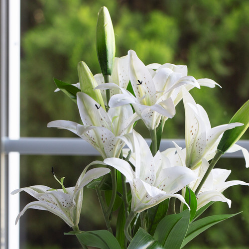 Artificial Real Touch Tiger Lily Arrangement in Clear Glass Vase with Plastic Pearl