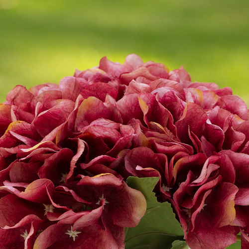 Artificial Silk Hydrangea Flowers in Clear Glass Vase With Faux Water (Fuchsia)