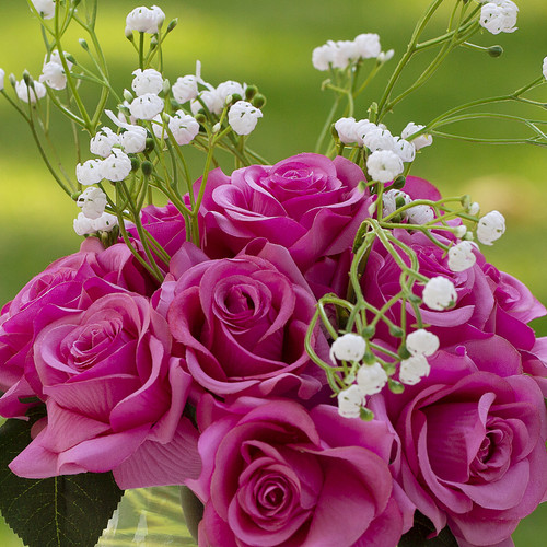 14 Pieces Mixed Artificial Rose and Baby Breath Flowers Arrangement in Clear Glass Vase with Faux Water(Fuchsia)