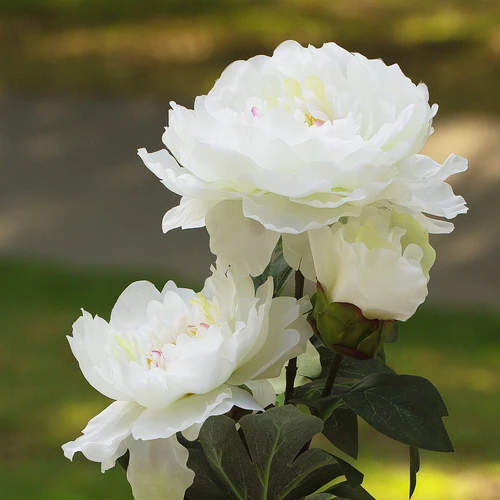 Artificial Silk Peony Flower in Clear Glass Vase