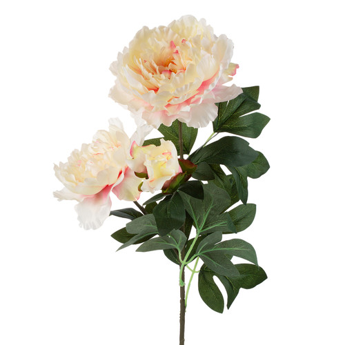 28" Peony Flower Stem (Peach)